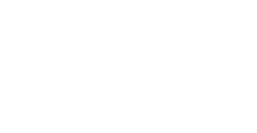 logos clientes automotive __ blanco (1)