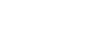 logos clientes automotive __ blanco (2)